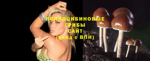 ECSTASY Сатка