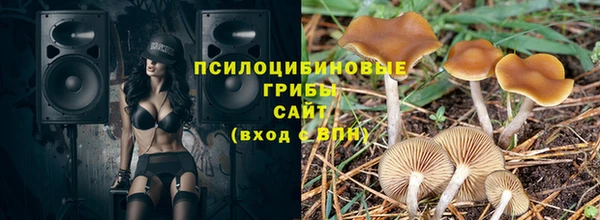 амф Абаза